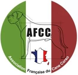 Afcc logo