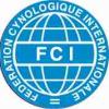 Logo fci