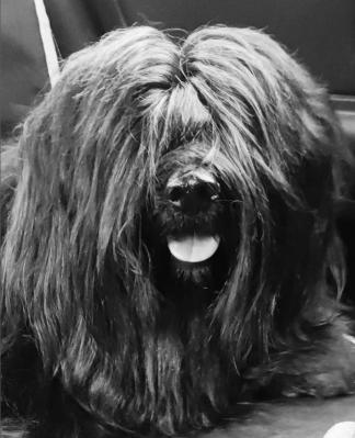 Marley
